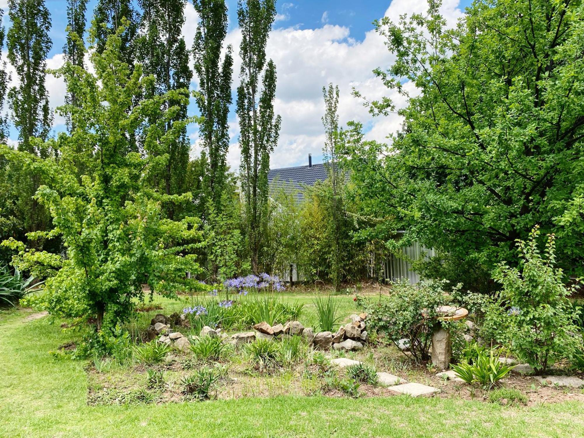 Collett House And Lavender Cottage Clarens Exterior foto