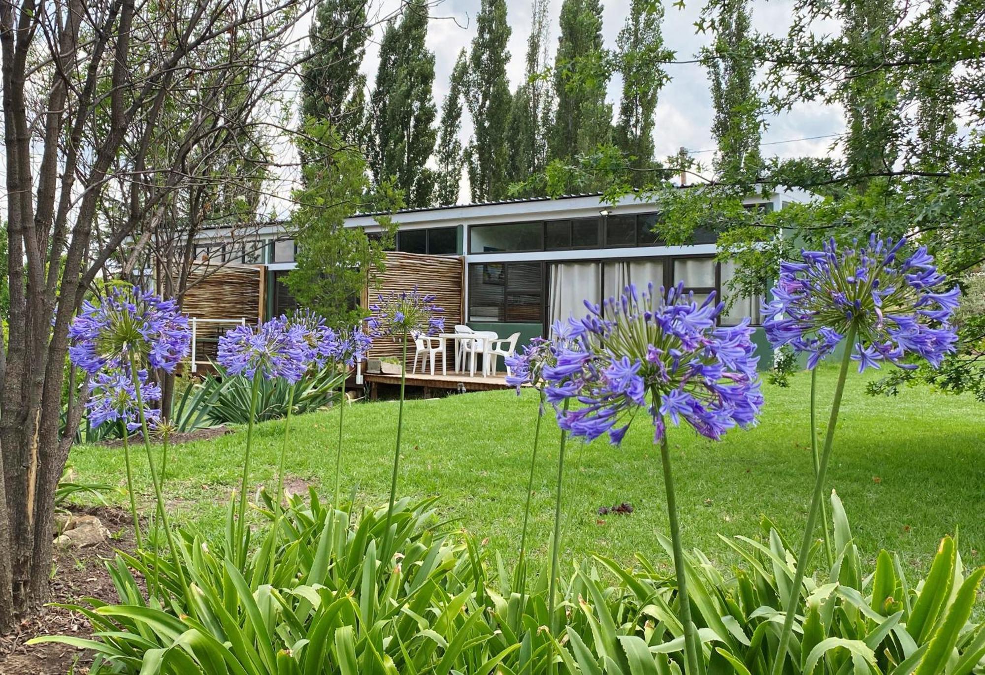 Collett House And Lavender Cottage Clarens Exterior foto